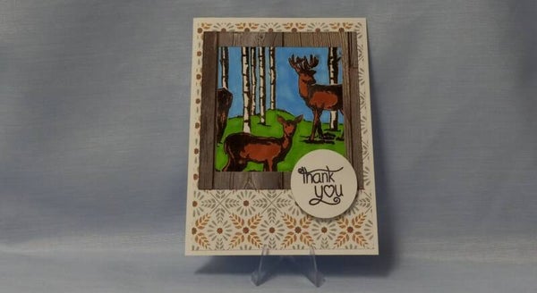"Framed Nature" Thank You Card