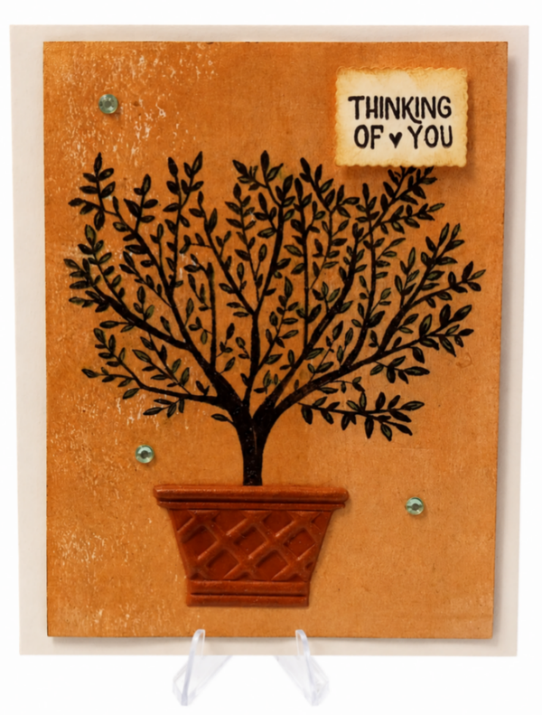 Sapling - Thinking of You Card