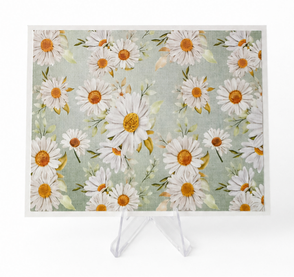 Daisies - Blank Multi-purpose Card