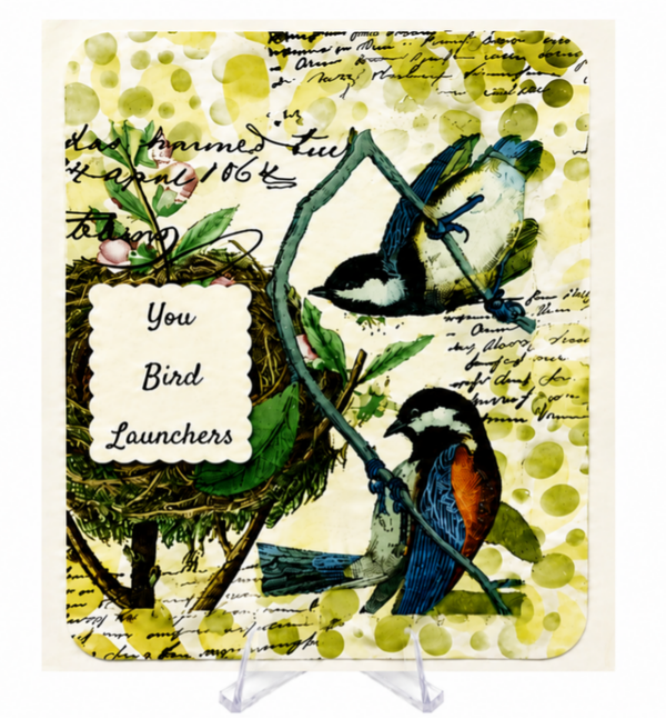 Bird Launcher - Empty-Nest Card