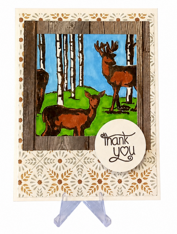 Framed Nature - Thank You Card