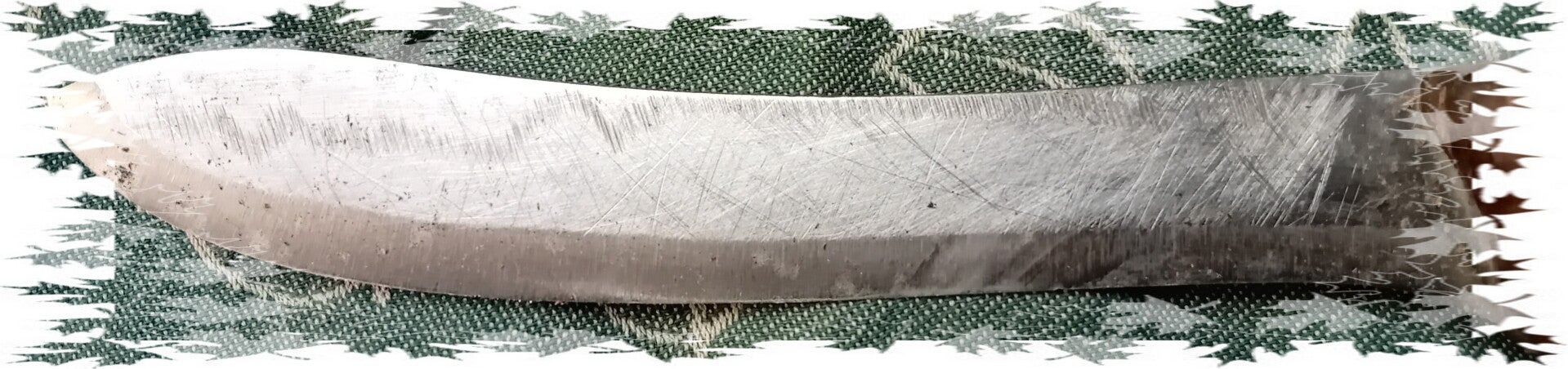 vergroot beeld van erg beschadigd lemmet