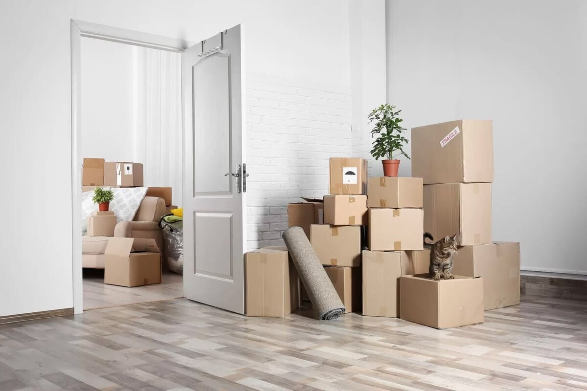 Move-in or move-out cleaning service in calgary