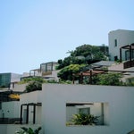 img_3471-standard.jpg