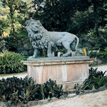 img_9115-standard.png