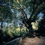 img_9117-standard.png