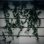 img_9185-standard.png
