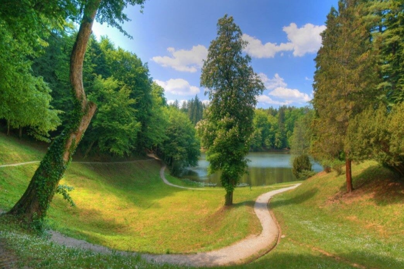 Here the reference image