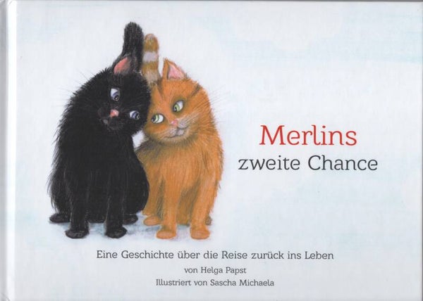 Merlins zweite Chance - ein Buch über eine Reise zurück ins Leben