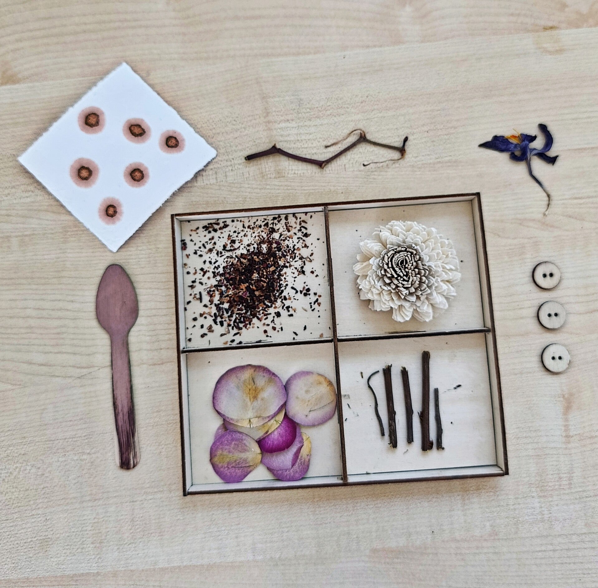 Handgeschöpftes, quadratisches Papier mit sechs kreisförmigen Punkten aus Naturfarbe, arrangiert auf einer Holzoberfläche neben einer quadratischen Holzbox mit getrockneten Blüten, Blütenblättern, Gewürzen und kleinen Ästen.