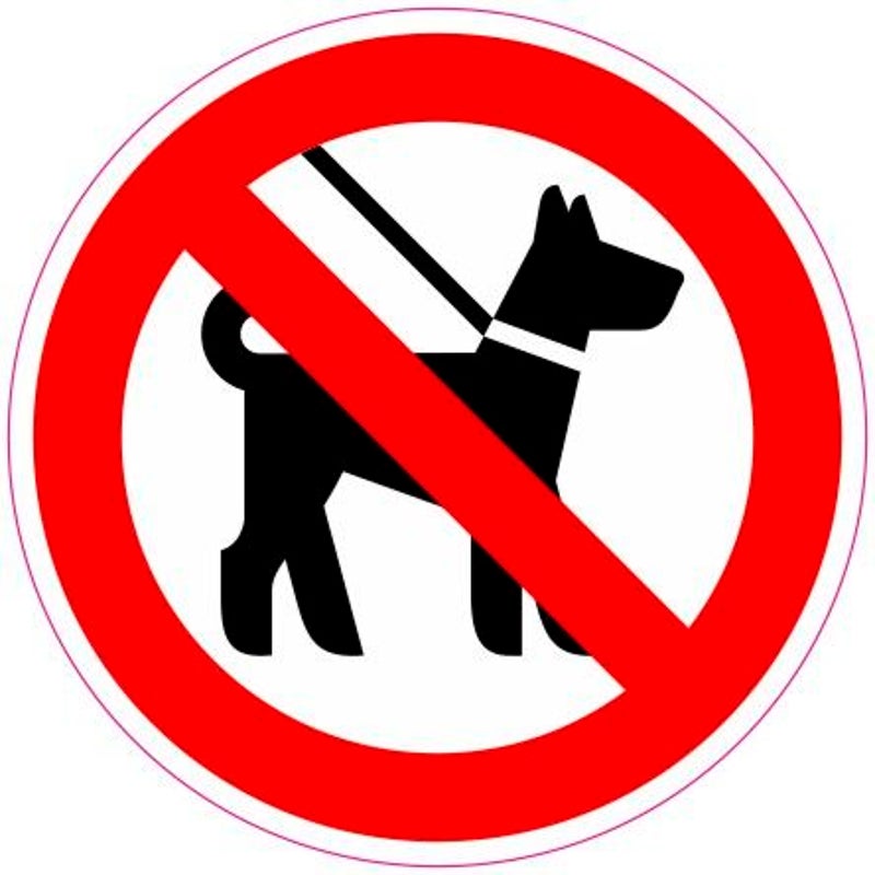 wegens beperkte ruimte kunnen we honden niet toelaten, ondanks grote hondenliefhebbers