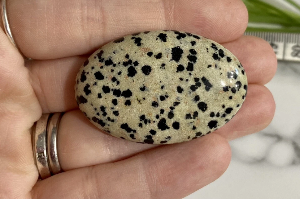 Dalmatian Jasper Palm-stone 3x4.5xm