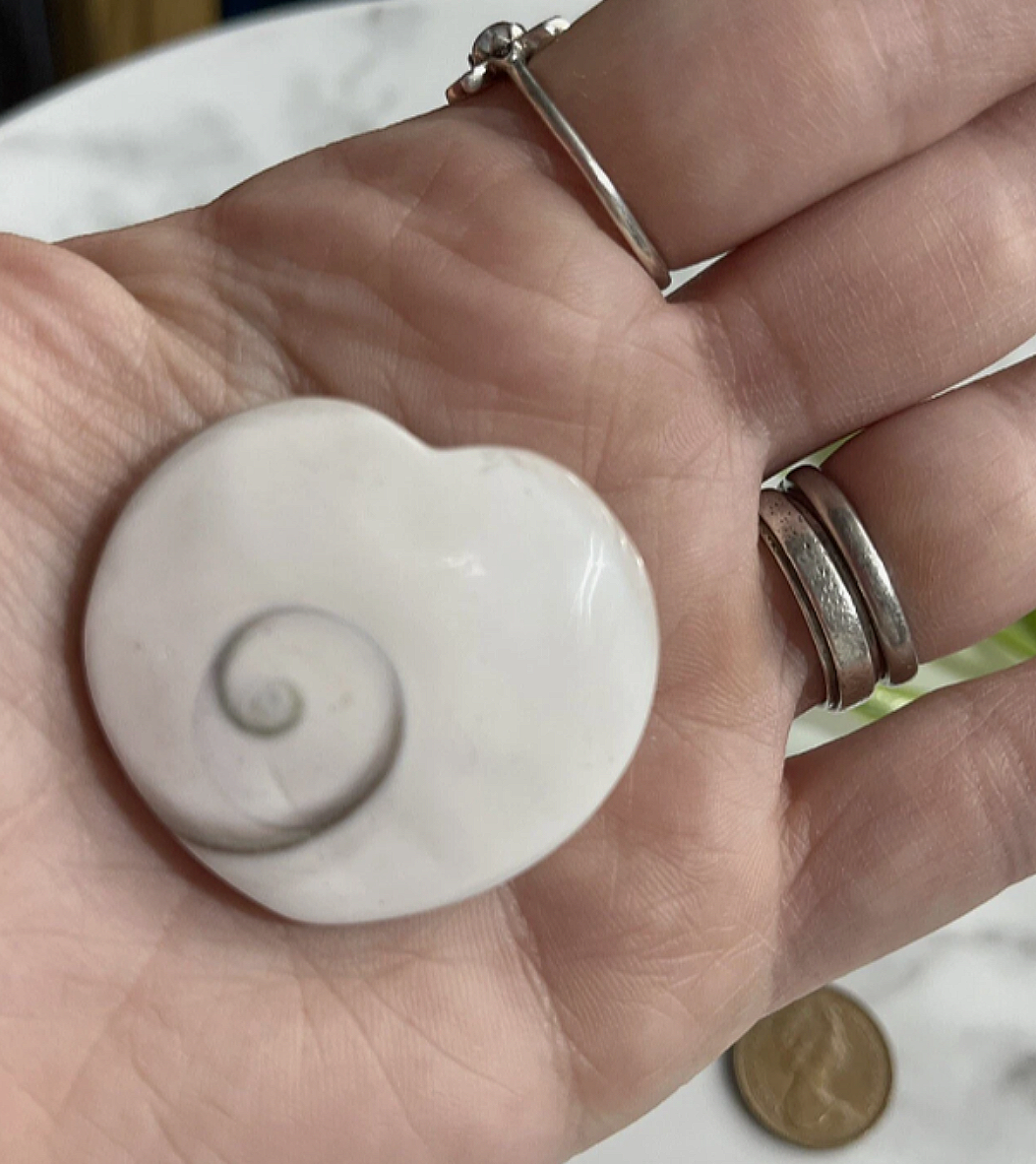 Shiva Shell Heart Shape