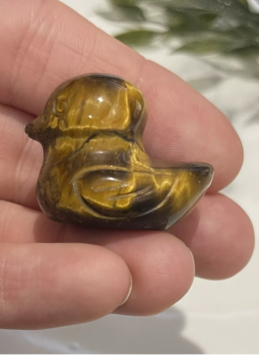 Tigers Eye Duck Guardian 25mm