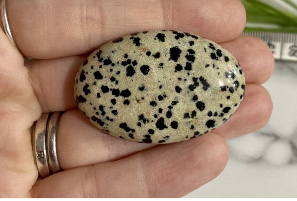 Dalmatian Jasper Palm-stone 3x4.5xm