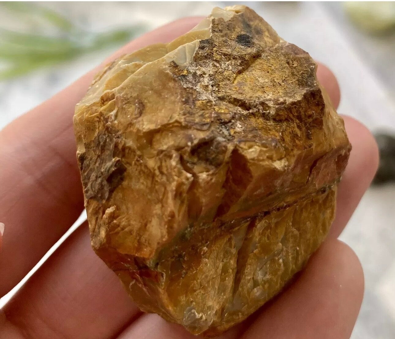 Picasso Jasper Rough Raw Chunk 67g