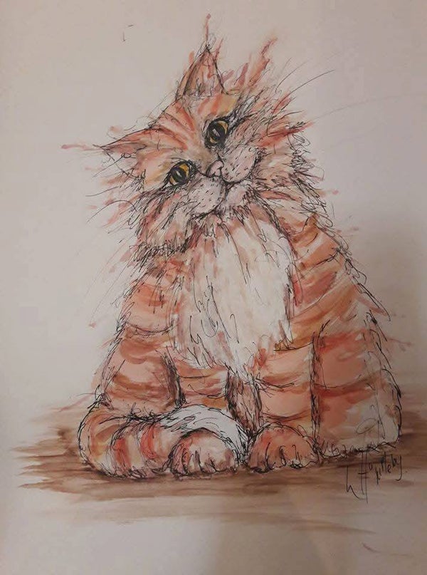 'Tom the cat'