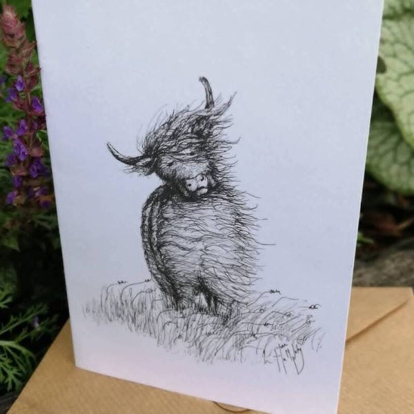 The Windswept Coo