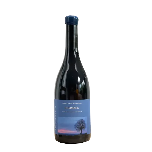 2022 Skyaasen - Pommard 0,75cl