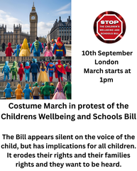 a poster showing houses of parliament and many families marching towards Parliament. On right tophand corner is ared badge with white writing stating Stop The Childrens Wellbeing and Schools Bill.