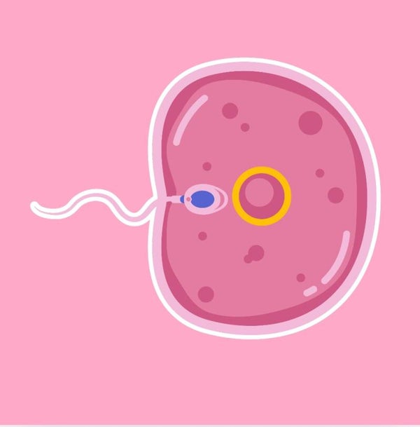 Fertility Reading