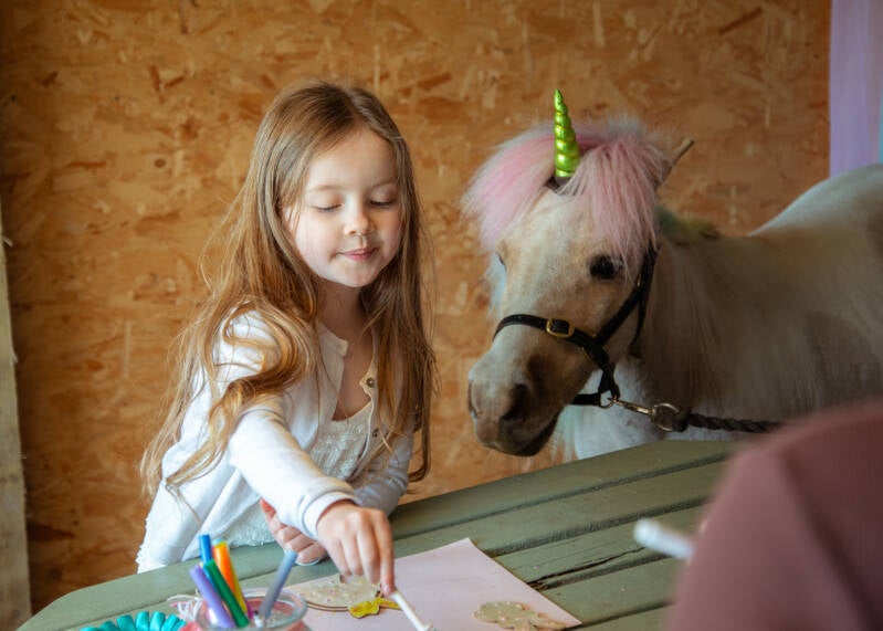 Picture of child doing craft with unicorn pony to the side 