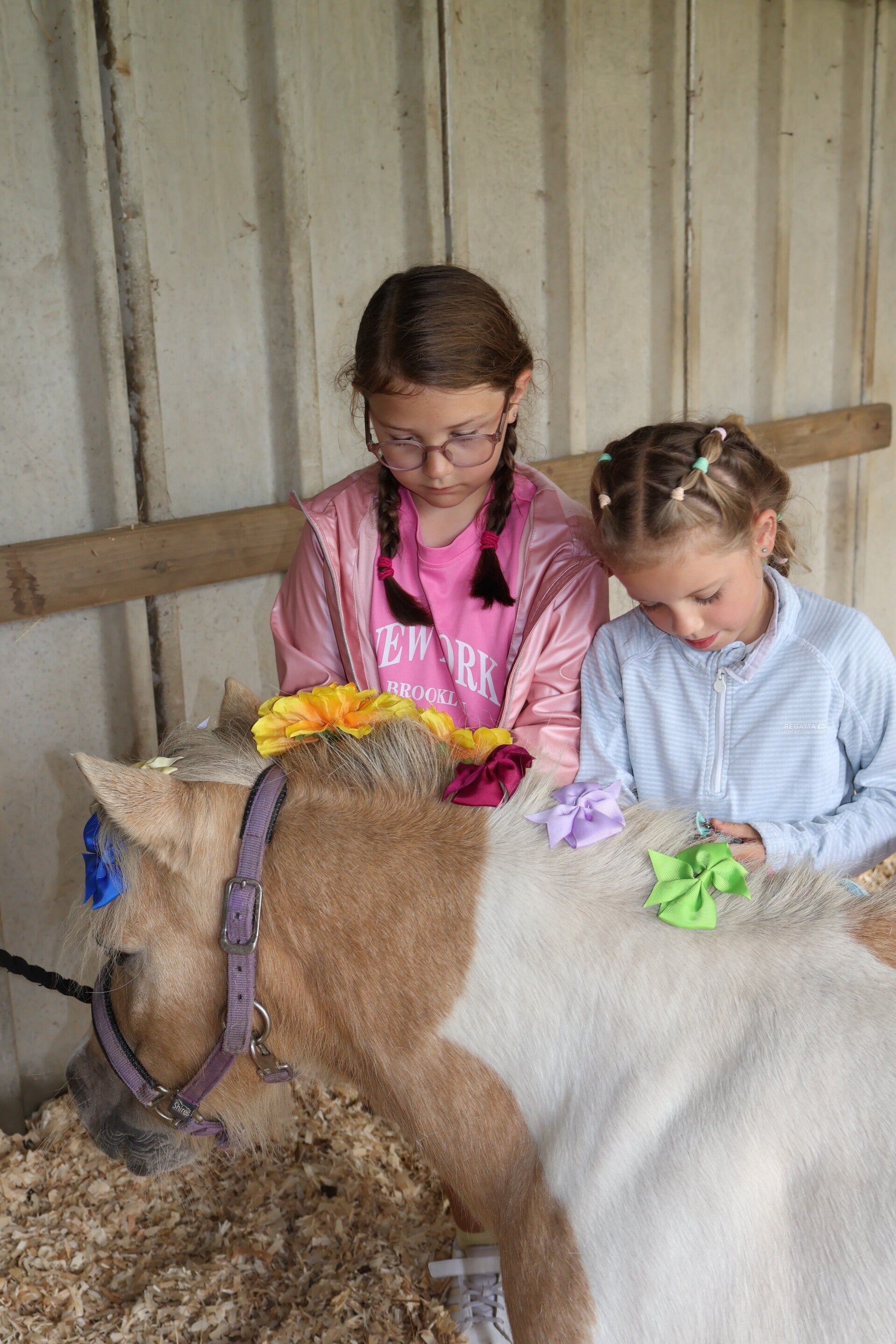 Two children plaiting and adding bows to a ponys mane in a stable. 