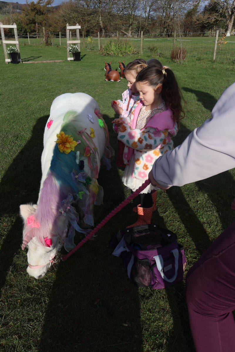 Two children enjoying putting colourful bows on a white unicorn ponies mane. 