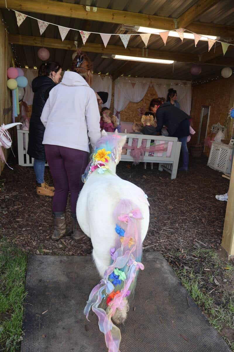 Pony with colourful mane and tale decorated with bows entering a decorated children's birthday party room. 