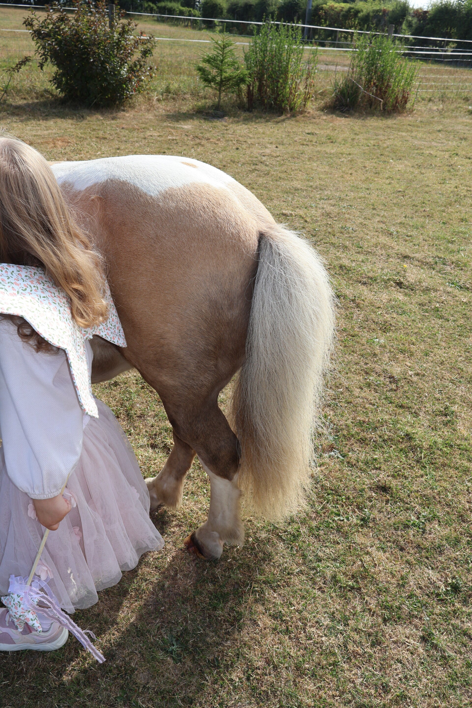 Two children holding their certificates of participation next to a white Shetland pony in a grassy paddock after attending a fun pony club