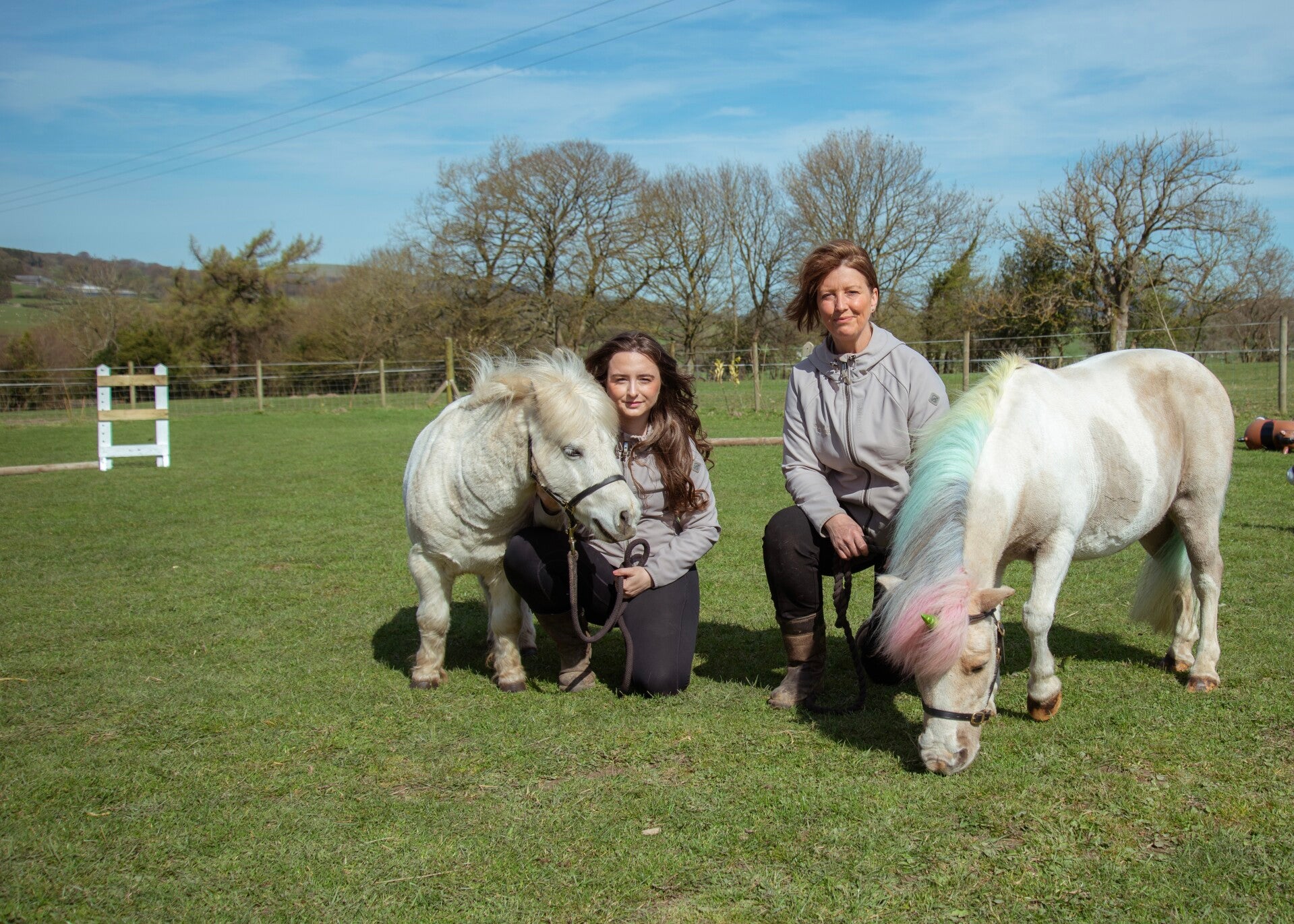 Child using a brush to groom a unicorn pony in a stable. The unicorn pony has lots of lovely clips and bows in their mane. 