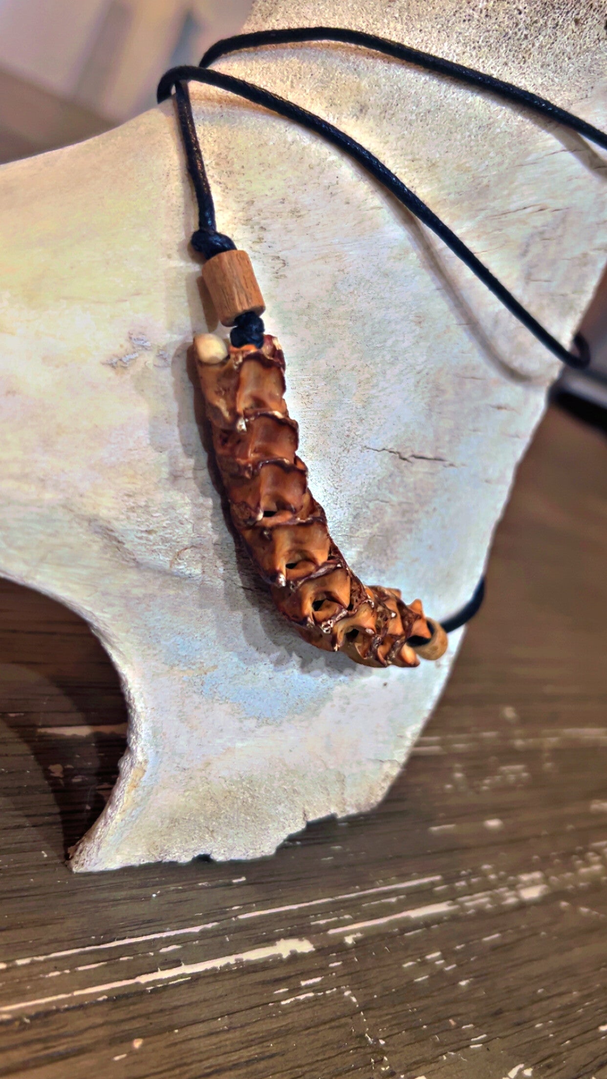 rattle snake vertebrae necklace (large)
