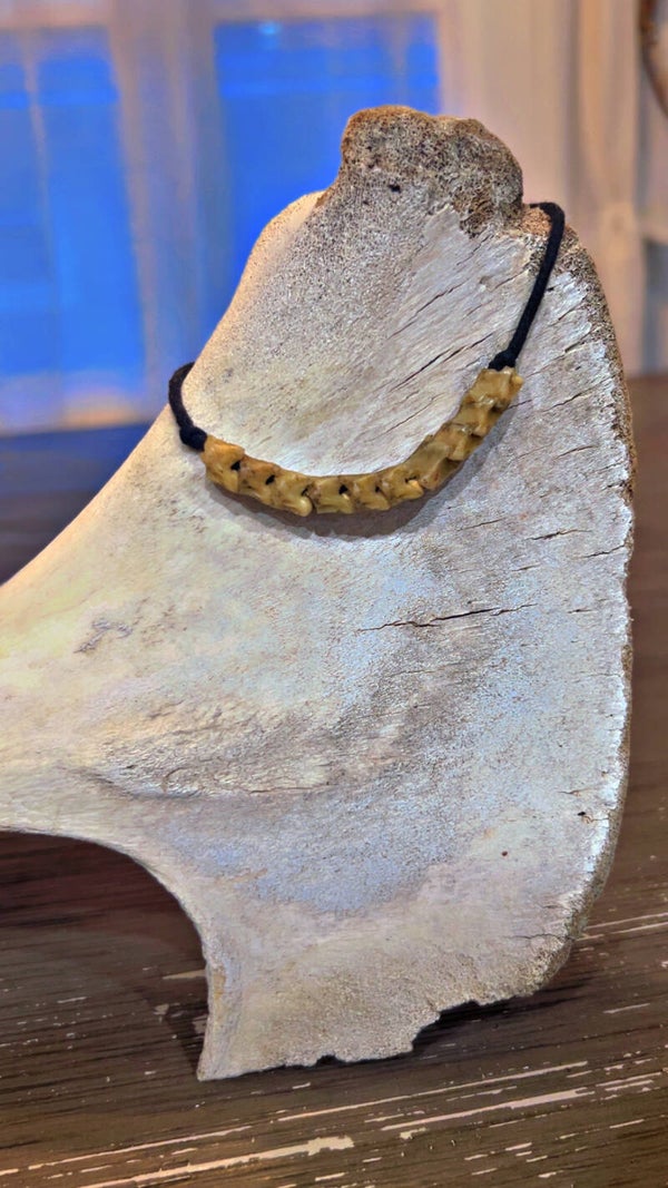 rattle snake vertebrae necklace (small)