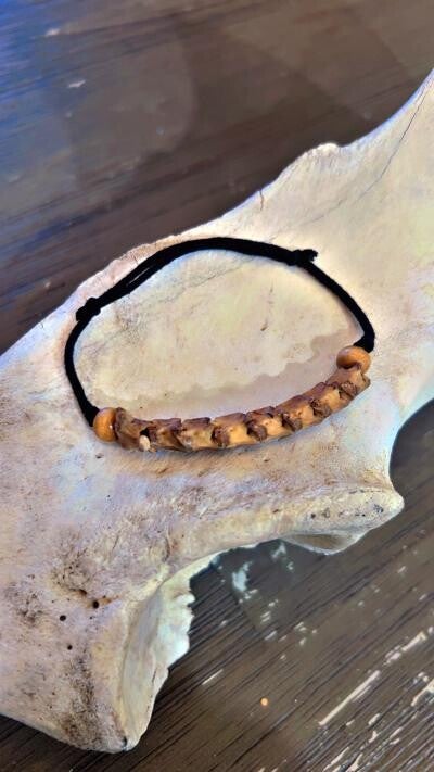 rattle snake vertebrae bracelet