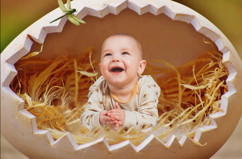 Baby breaking out of eggshell