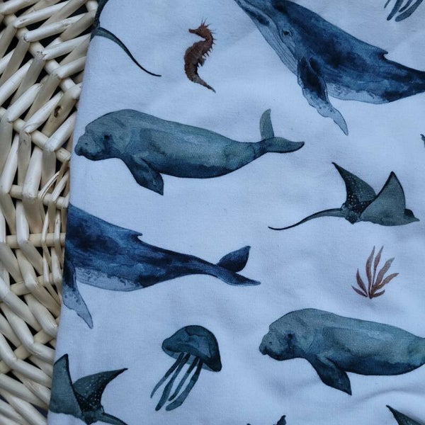 Sealife