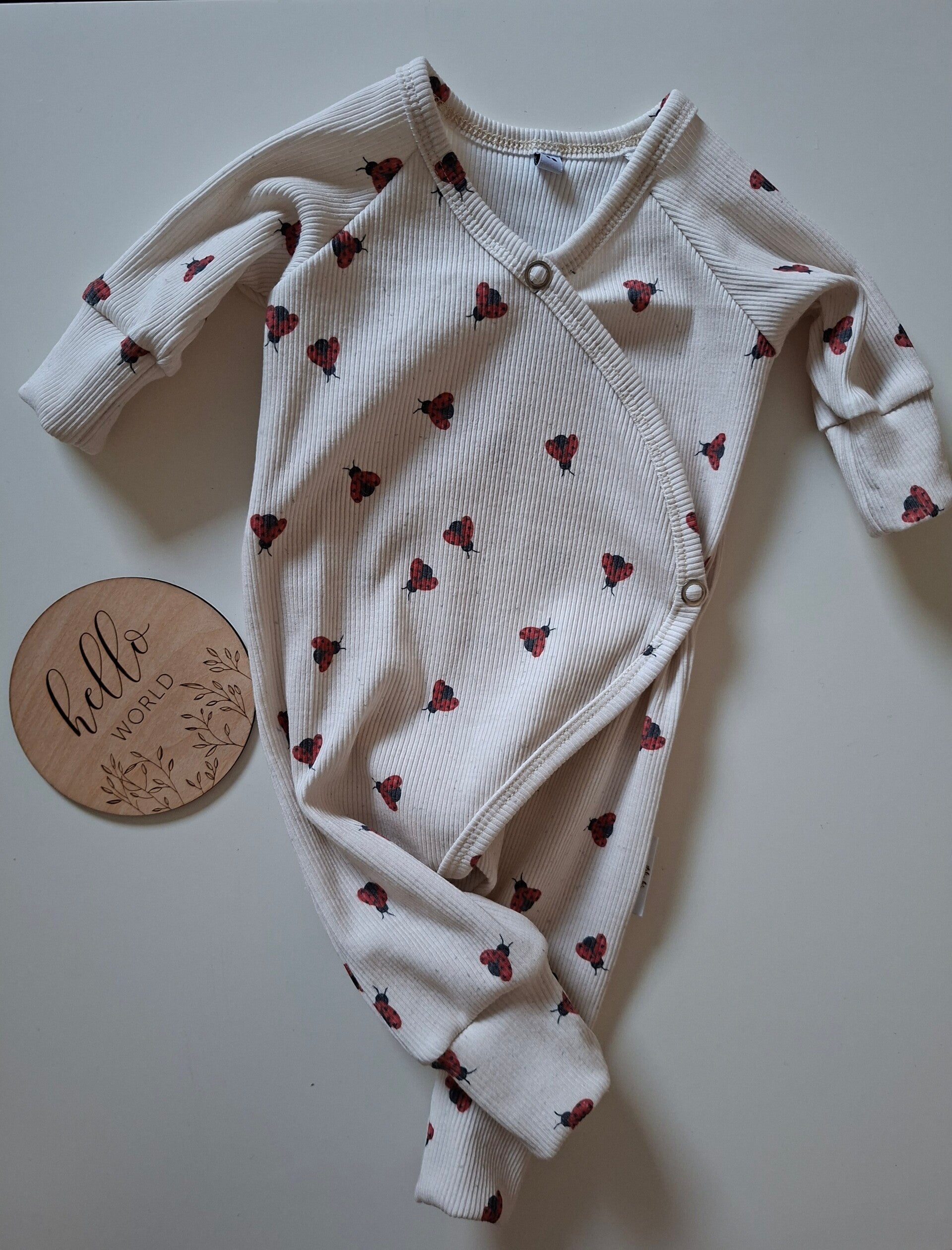 Boxpakje lieveheerstbeestjes