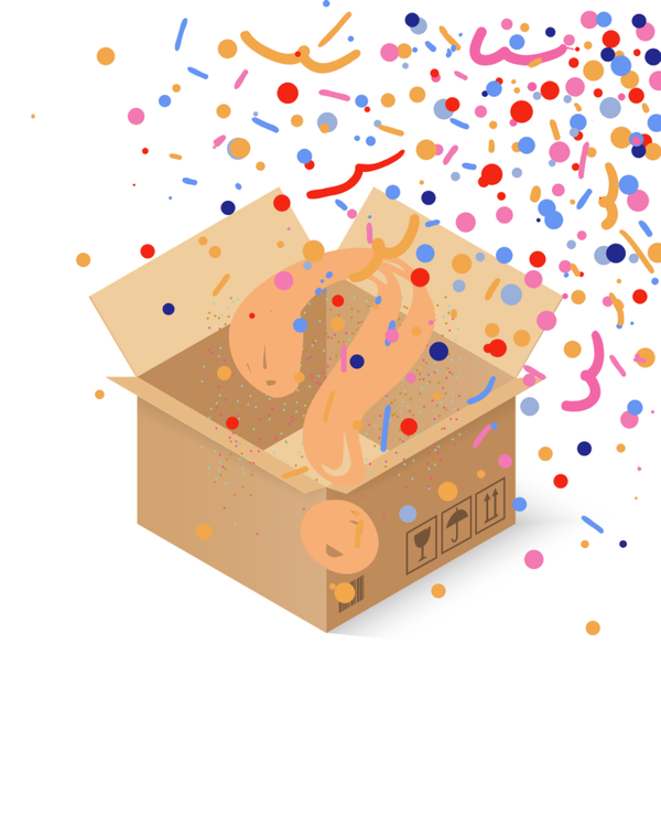 Surprisebox algemeen