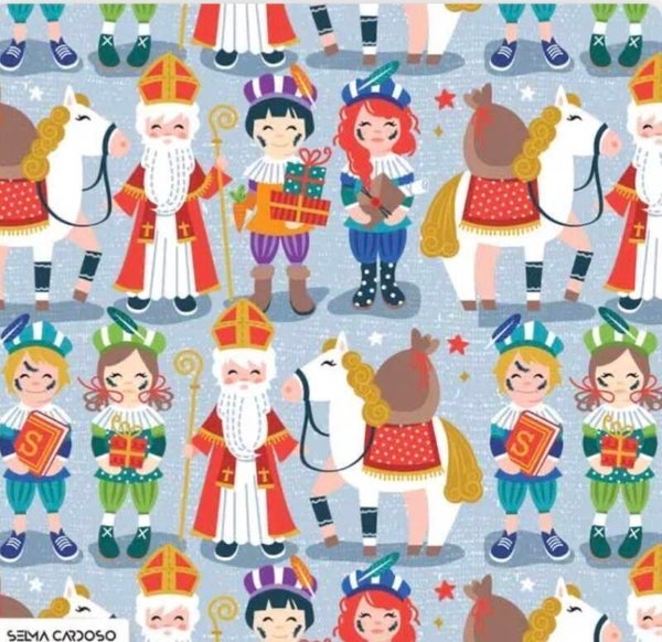 Sinterklaas intocht jurkje