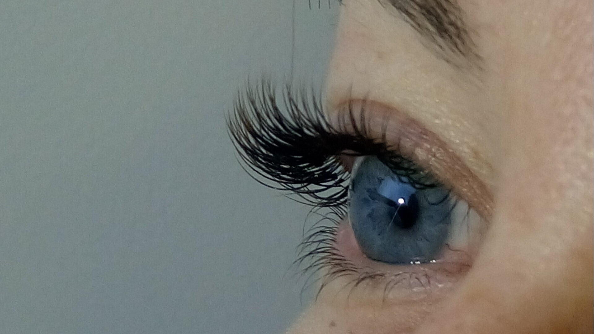 extension de cils