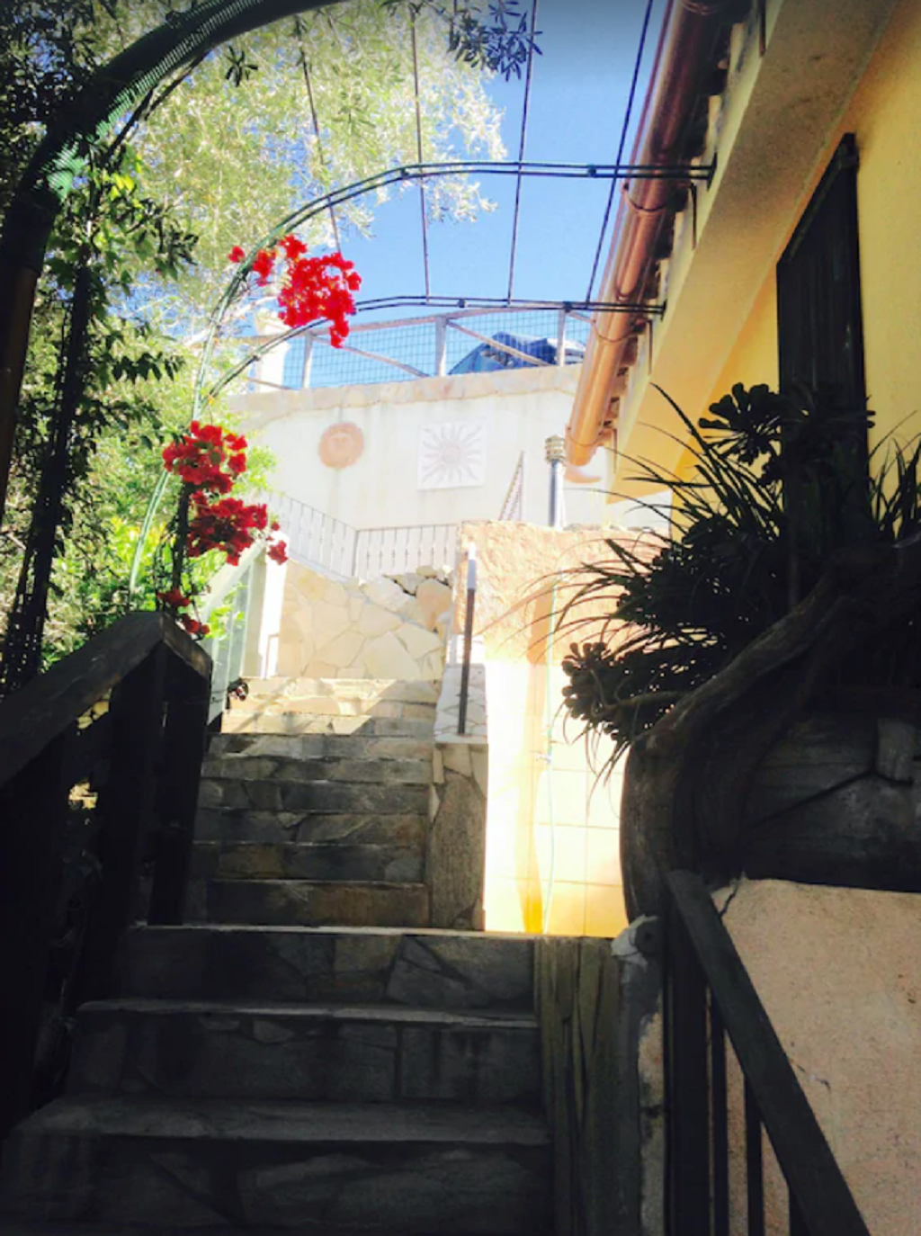 escalier-patio-d-entr-e-standard.png
