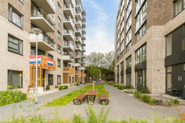 Den Haag Studio near THUAS ( 1e Lulofsdwarsstraat )