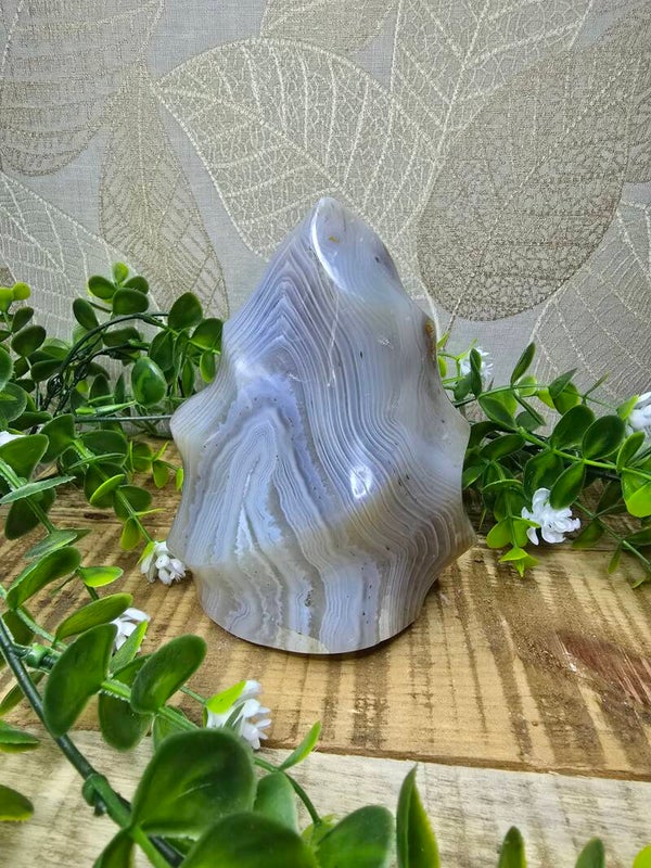 Agaat vlam met dendriet