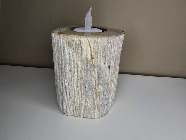 Versteend hout kaarsen houder