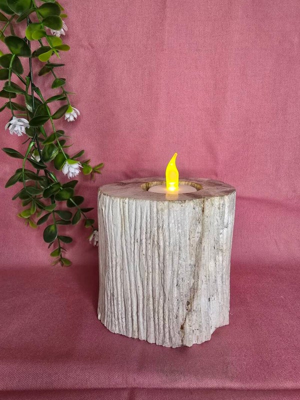 Versteend hout kaarsen houder