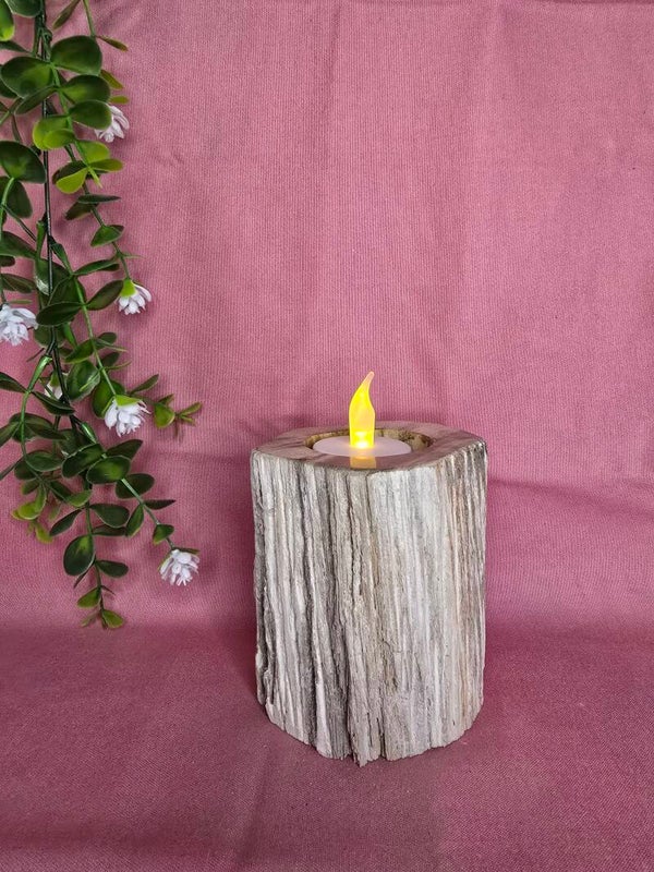 Versteend hout kaarsen houder