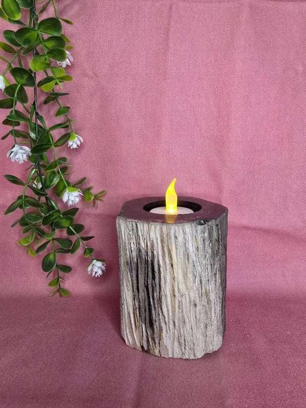 Versteend hout kaarsen houder