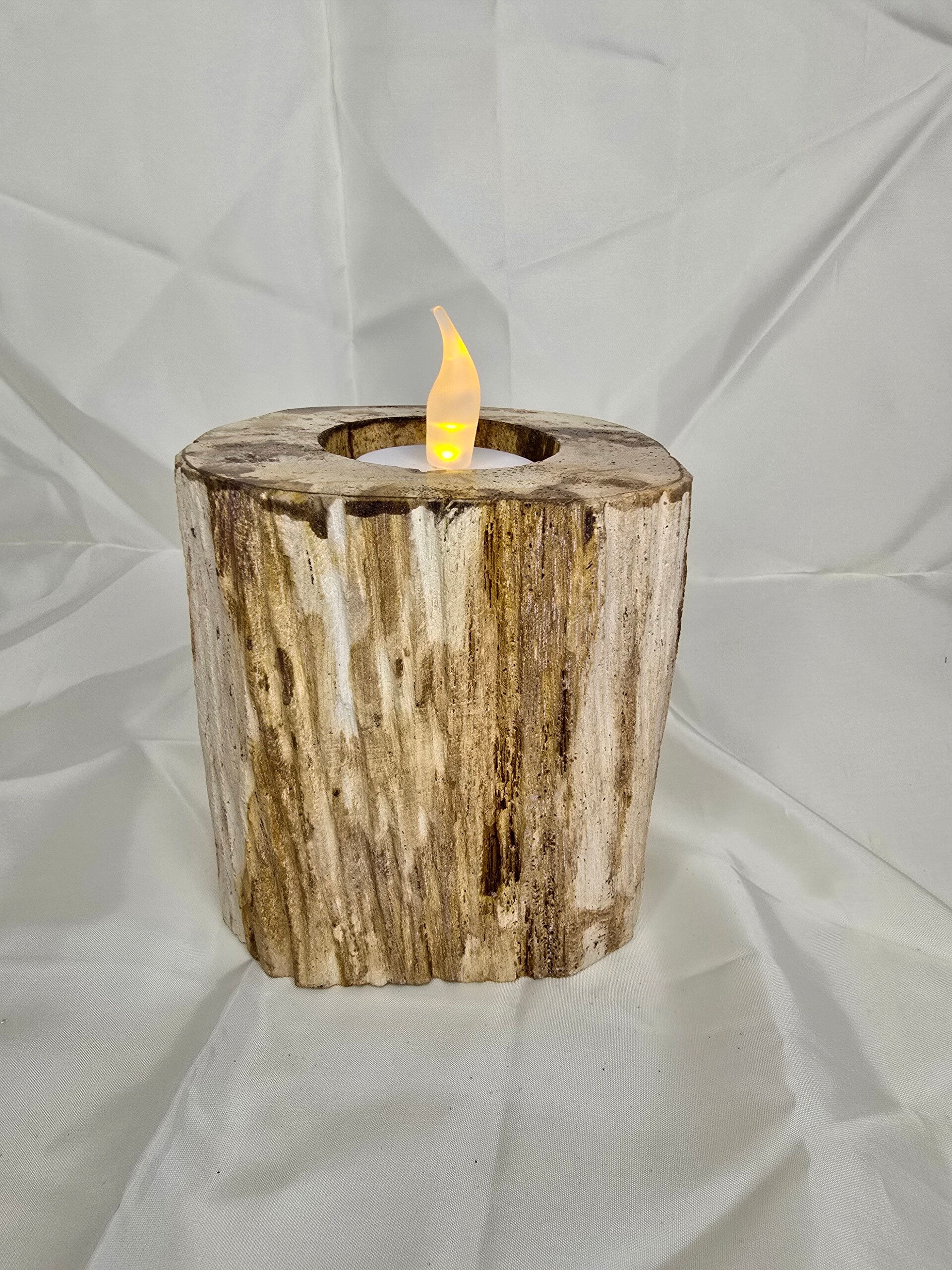 Versteend hout kaarsen houder