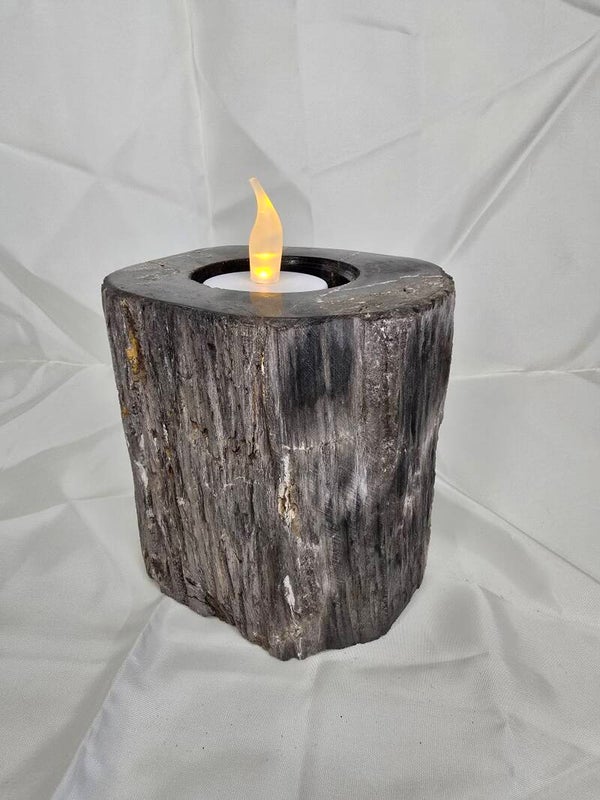Versteend hout kaarsen houder