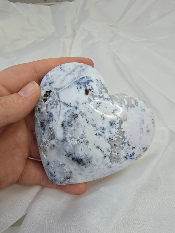 Sneeuw agaat met dendriet hart